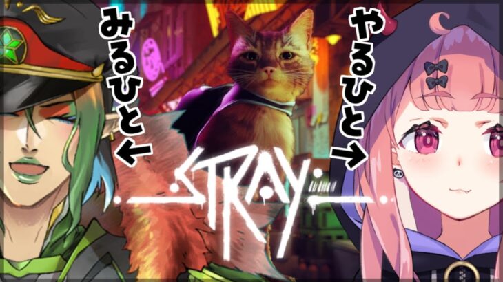 【Stray】笹木咲、猫になる。花畑チャイカ、それを見る。《笹木咲 / Sasaki Saku》