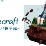 【Minecraft】資源サバであそぶ⛏✨【にじさんじ／空星きらめ】《空星きらめ/Sorahoshi Kirame【にじさんじ】》