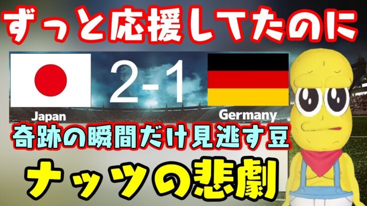 W杯、日本対ドイツの勝利に転じる決定的瞬間を奇跡的に見逃す【ピーナッツくん】ｗｗ【切り抜き】