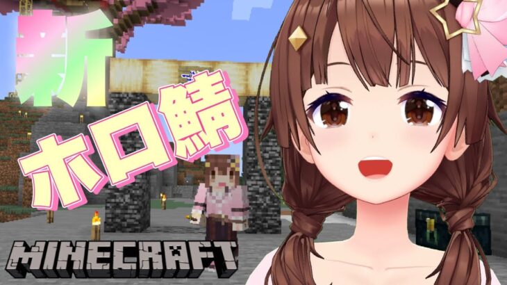 【Minecraft】新しい世界ができたと聞いて！！【#ときのそら生放送】《SoraCh. ときのそらチャンネル》