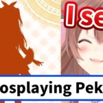 Viewers believe Korone is cosplaying Pekora after seeing her new outfit silhouette[Hololive/Eng sub]