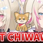 FUWAMOCO scolds their viewers calling them “Chiwawa” 【Hololive Cute Moments】