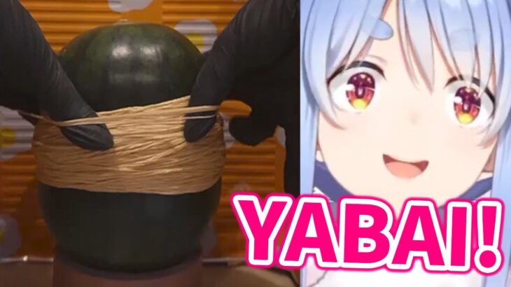 Pekora explodes watermelon with rubber bands and makes a chaotic scream【Hololive/Eng sub】