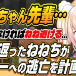 【ホロライブ切り抜き/桃鈴ねね】限定的に生き返ったねねちが生き残りをかけてネザーへの逃亡を計画するｗ