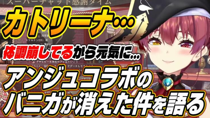 【ホロライブ切り抜き/宝鐘マリン】アンジュとコラボしたバニーガーデンアーカイブ消失話とマリ箱の歌を褒めてくれたホロメン話