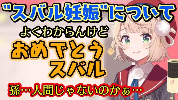 【ホロARK】で妊活大成功の一大イベントの後、【大空スバル】のママである【しぐれうい】にも報告が行き、戸惑うけど祝福するういママｗ