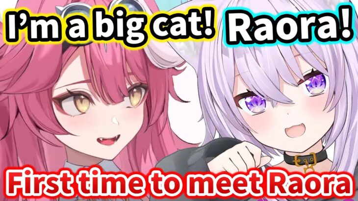 Okayu meets Raora for first time and Raora introduce herself Big Cat【Hololive】