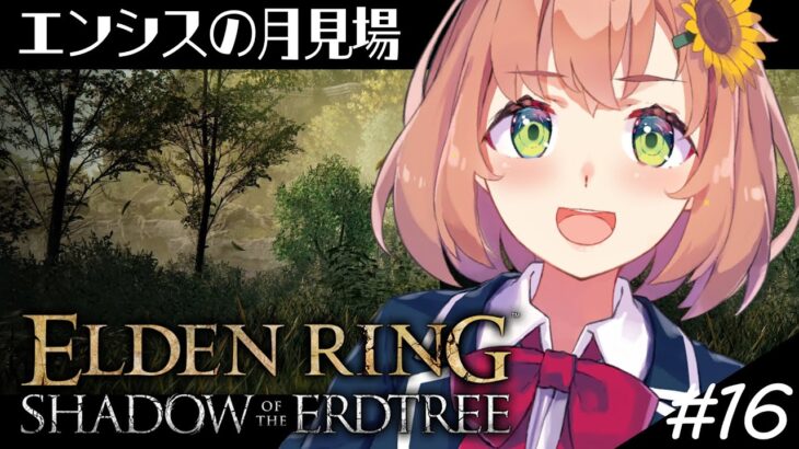 #16【ELDEN RING DLC】坂手さんの剣かっこよすぎだろ！【本間ひまわり/にじさんじ】《本間ひまわり – Himawari Honma -》