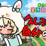 【あつまれ どうぶつの森】５億年ぶりに帰ってみた🏠【不知火フレア/ホロライブ】《Flare Ch. 不知火フレア》