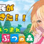 【あつまれ どうぶつの森】ようこそ新住民！【不知火フレア/ホロライブ】《Flare Ch. 不知火フレア》