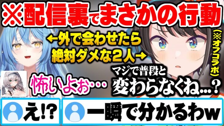 街中を並んで歩いたら確実に即バレするほど裏での行動がいつも通りなラミィとスバルに怯える団長ｗ【ホロライブ 切り抜き 白銀ノエル 大空スバル 雪花ラミィ オフコラボ】