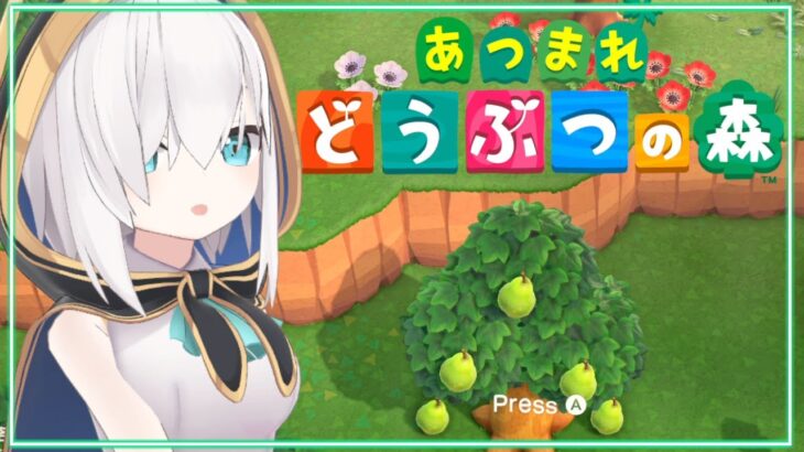 【 どうぶつの森-あつ森- 】みんなで花火みようか　ハッピーホームパラダイス【アルス・アルマル/にじさんじ】《アルス・アルマル -ars almal- 【にじさんじ】》