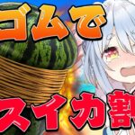 【輪ゴムでスイカ割り】何本で割れるか検証する！！！！！！！！！！！！ぺこ！【ホロライブ/兎田ぺこら】《Pekora Ch. 兎田ぺこら》