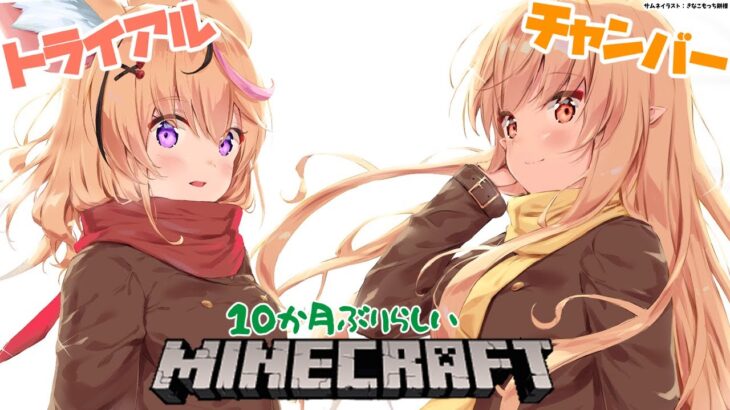 【Minecraft】フレポルでトライアルチャンバー行ってみる！【不知火フレア/尾丸ポルカ/ホロライブ】《Flare Ch. 不知火フレア》