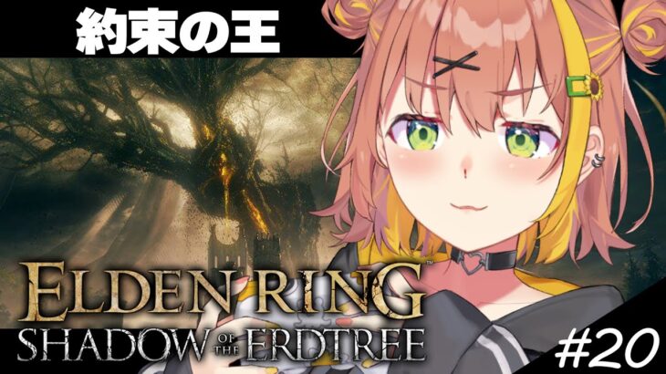 #20【ELDEN RING DLC】いつのまにか約束してたっぽい王【本間ひまわり/にじさんじ】《本間ひまわり – Himawari Honma -》