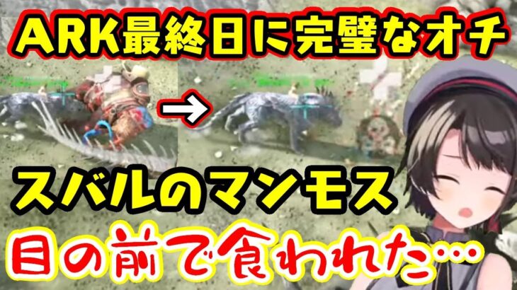 【ホロARK】最終日、序盤からお世話になっていたマンモスが激戦の末に死んでしまい、終了後に悲しむスバルの目の前で食べられてしまうという展開が面白すぎるｗｗ【ホロライブ/切り抜き】