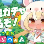 【あつまれ どうぶつの森】久々の住民ガチャやんぞ！【不知火フレア/ホロライブ】《Flare Ch. 不知火フレア》