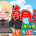 【あつまれ どうぶつの森】朝のハッピーホームデザイナーフレア🏠【不知火フレア/ホロライブ】《Flare Ch. 不知火フレア》