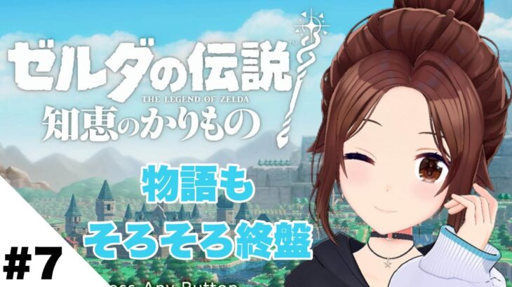 【ゼルダの伝説 知恵のかりもの】物語もそろそろ終盤でしょ？【ホロライブ/ときのそら】《SoraCh. ときのそらチャンネル》