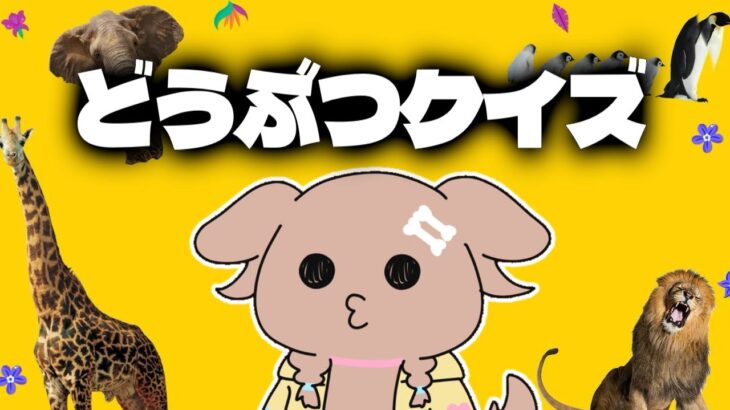 【動物雑学かんたん勉強学習教養知育パズル】ワタクシ動物なので、余裕の全問正解しますね＾＾【犬系Vtuber/戌神ころね】《Korone Ch. 戌神ころね》