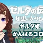 【ゼルダの伝説 知恵のかりもの】今日も張り切っていくゴロ！！～５～【ホロライブ/ときのそら】《SoraCh. ときのそらチャンネル》