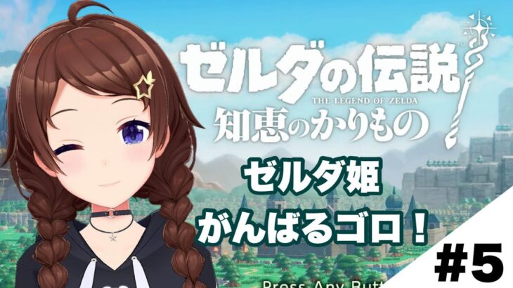 【ゼルダの伝説 知恵のかりもの】今日も張り切っていくゴロ！！～５～【ホロライブ/ときのそら】《SoraCh. ときのそらチャンネル》