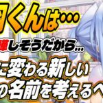 【ホロライブ切り抜き/兎田ぺこら】湊くんに変わる新しい店員の名前を考えるぺこーらのTCG Card Shop Simulator面白まとめ