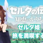 【ゼルダの伝説 知恵のかりもの】ゼルダ姫の自由さが止まりません～４～【ホロライブ/ときのそら】《SoraCh. ときのそらチャンネル》