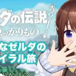 【ゼルダの伝説 知恵のかりもの】うちのゼルダ姫、自由すぎるしお転婆すぎる～2～　【ホロライブ/ときのそら】《SoraCh. ときのそらチャンネル》