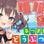 【睡眠導入】久々に自分の島見に行くよ🌃【ホロライブ/夏色まつり】《Matsuri Channel 夏色まつり》