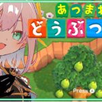 【どうぶつの森】 雑談　うれしいことがあった！！！【アルス・アルマル/にじさんじ】《アルス・アルマル -ars almal- 【にじさんじ】》