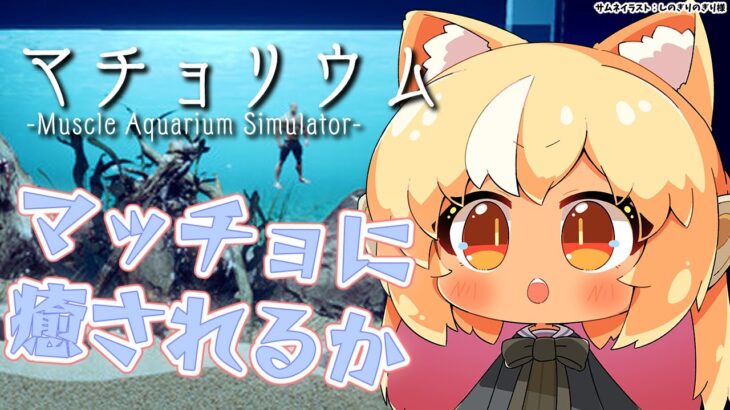 【マチョリウム 】チルマッチョタイムだ【不知火フレア/ホロライブ】《Flare Ch. 不知火フレア》