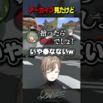 アーカイブは見てきたぽんぽこ《Kanae Channel》