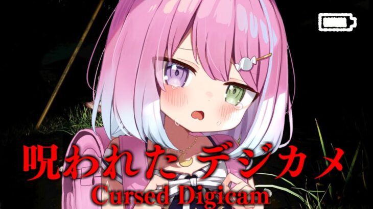 【 呪われたデジカメ | ホラゲ 】霊を撮影して写ったものがヤバそうなのら！！～Cursed Digicam【姫森ルーナ/ホロライブ】《Luna Ch. 姫森ルーナ》