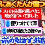 ホロメンからの”暁”呼びにあくたんが傷ついていた件で、自分が発祥なのにスバルに全責任を擦りつけるぺこらw【ホロライブ切り抜き/兎田ぺこら/大空スバル】