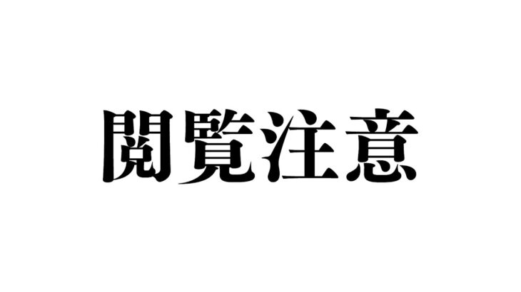 【アーカイブ未定】閲覧注意ですが大丈夫ですか？🦄《Tamaki Ch. 犬山たまき / 佃煮のりお》