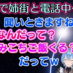 【星街すいせい】がゲームの準備を【姉街】に手伝ってもらうために通話をし、すごく自然に家族付き合いしている【さくらみこ】の様子が出てしまうてぇてぇワンシーンｗ【ホロライブ/切り抜き】