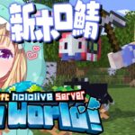 【Minecraft】新ホロ鯖についに上陸！冒険＆やりたいこと探す！ 【ホロライブ/アキ・ローゼンタール】《アキロゼCh。Vtuber/ホロライブ所属》