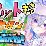 【Minecraft】新ホロ鯖！！かゎぃぃゃっら、ペット探しへ！！【天音かなた/ホロライブ】《Kanata Ch. 天音かなた》