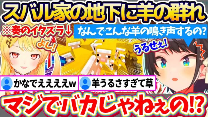 【新ホロ鯖】奏のイタズラを回収するため家に帰宅したところ『地下に大量の羊の群れ』を発見し、あまりの騒音にブチギレるスバルw【ホロライブ切り抜き/大空スバル/音乃瀬奏】