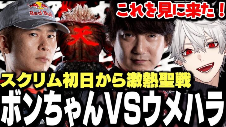 【面白まとめ】CRカップスクリム初日から行われる聖戦に大興奮の葛葉【にじさんじ/切り抜き】