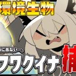 【モンハンワイルズ】コイツ本当に出ないんですけど？！難易度G級フワフワクイナ捕獲【ホロライブ/白上フブキ】《フブキCh。白上フブキ》
