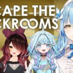 【Escape the Backrooms】4人で何やら怪しい場所に出かけるそうです…【 雪花ラミィ /ホロライブ】《Lamy Ch. 雪花ラミィ》