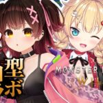 【#ろぼちゃま】ロボ子とリスナーでモンハンだああああああ！🌟【ホロライブ/赤井はあと】《HAACHAMA Ch 赤井はあと》