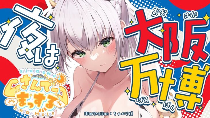 【朝活雑談】1時間だけお喋り！おはまっするさんで～🌞✨【白銀ノエル/ホロライブ】《Noel Ch. 白銀ノエル》