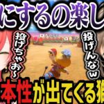 【複数視点】１人だけ楽しみ方が違う獅子堂あかりに爆笑する一同ｗｗｗ【にじさんじ切り抜き/叶/風楽奏斗/獅子堂あかり/マリカにじさんじ杯/マリオカート8DX】