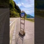 旅先でバス停に時刻表がない絶望。#vlog  #一人旅《HAACHAMA Ch 赤井はあと》
