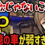 【まとめ】夏苗の発言に爆笑する犬ルリ ～ ５０億の車が弱すぎる件ｗｗｗ【叶/にじさんじ切り抜き/ストグラ切り抜き】