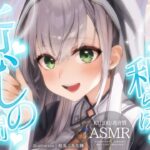 【ASMR】憂鬱な気持ちを吹き飛ばす♡ぐっすり安眠耳かき＆マッサージ♡【白銀ノエル/ホロライブ】《Noel Ch. 白銀ノエル》