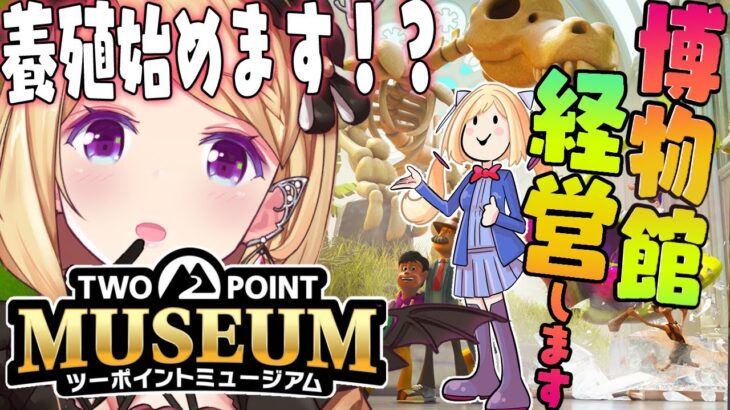 【ツーポイントミュージアム】経営シミュレーション！投資は投資です！学芸員クラス6になるのだ【アキロゼ/ホロライブ】《アキロゼCh。Vtuber/ホロライブ所属》